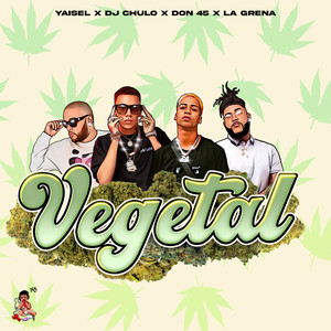 Vegetal