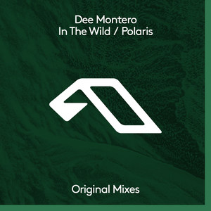 In The Wild (Instrumental Mix)