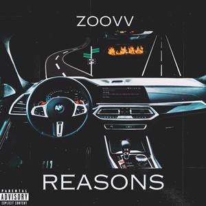 Reasons (Explicit)