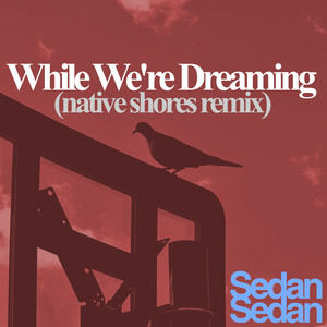 While We're Dreaming (native shores Remix)