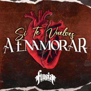 Si Te Vuelves A Enamorar