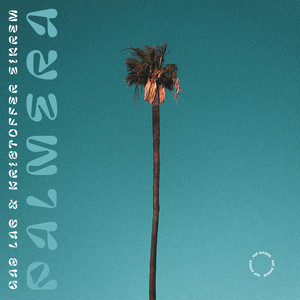 Palmera