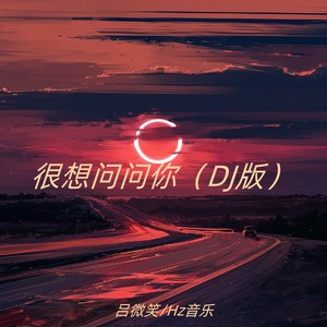 很想问问你（DJ版）