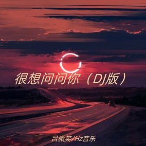 很想问问你 (DJ版)