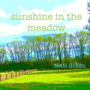 sunshine in the meadow