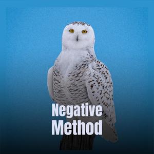 Negative Method