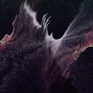 Outro (Live at Transcendent Waves)