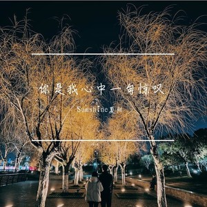 Sumshine夏阳 - 苏州河