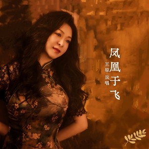 凤凰于飞