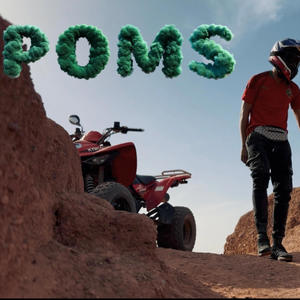 POMS (Explicit)