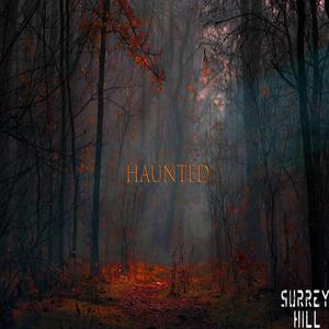 Haunted (feat. Talia Zisman)