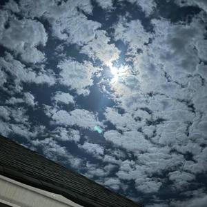 Net Talk (feat. Gen4) (Explicit)