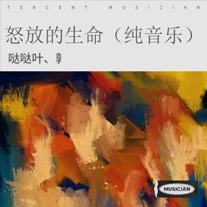 怒放的生命 (翻奏: 反光镜乐队)