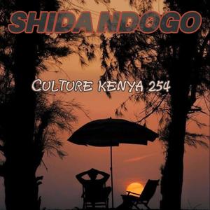 Shida ndogo