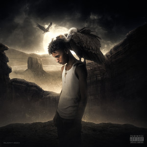 Vulture Activity (Explicit)