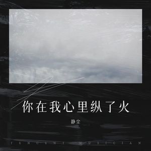 你在我心里纵了火封面