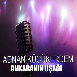 Ankaranın Uşağı