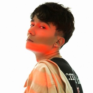 不得不爱