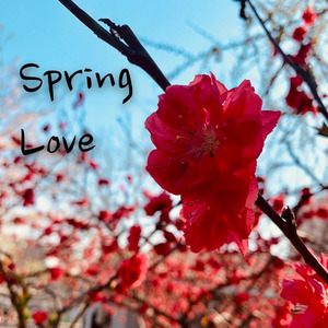 Spring Love (伴奏)