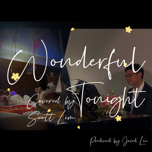 Wonderful Tonight