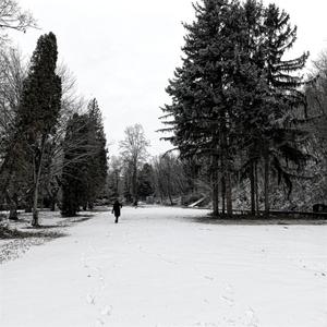 YOU NEVER BREAK UP A GIRL FIGHT