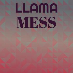 Llama Mess