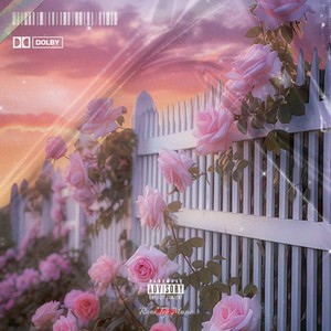 小小的Diamond Ring (伴奏)