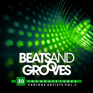 Beats And Grooves (30 Top House Tunes), Vol. 3