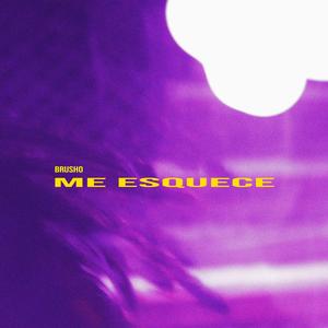 Me Esquece (feat. iAmLush & Alexbrou)