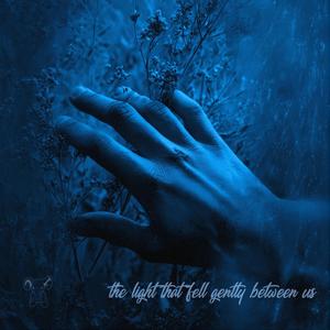 the light that fell gently between us