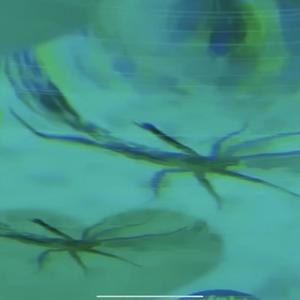 n (feat. Bridget Artman) (Explicit)