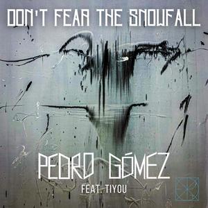 Don't Fear The Snowfall (feat. Tiyou)