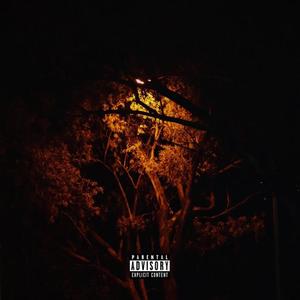 Private Accounts (Explicit)