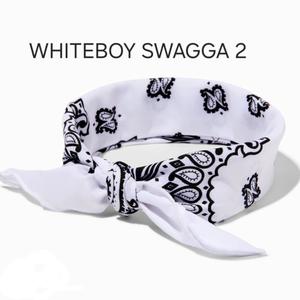 Whiteboy Swagga 2 (Explicit)