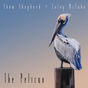 The Pelican