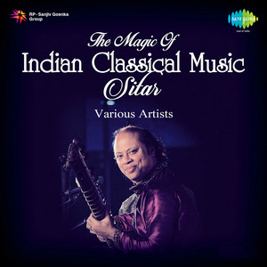 Rageshwari - Ustad Sahid Parvez