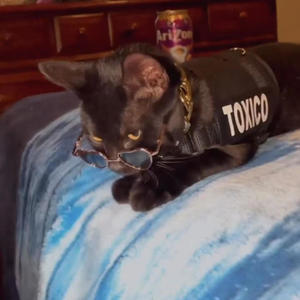 Overthink Fest. 2k (feat. Wxlsxn) (Demo|Explicit)