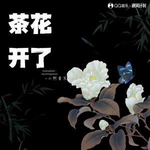 茶花开了-小朋的朋