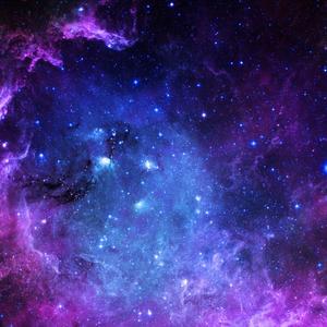 NEVA LEFT (Explicit)