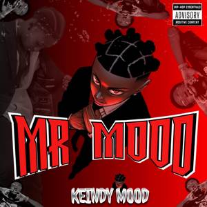 MR MOOD vol 1 (Deluxe) [Explicit]