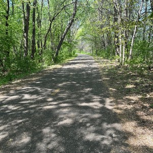 Crazy **** (Explicit)