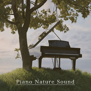 Piano Nature Sound