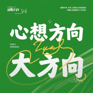 心有所向封面