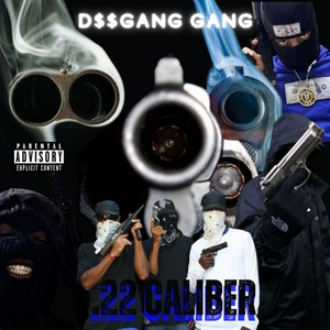 .22 Caliber (Explicit)