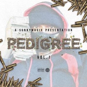 Pedigree, Vol. 1 (Explicit)