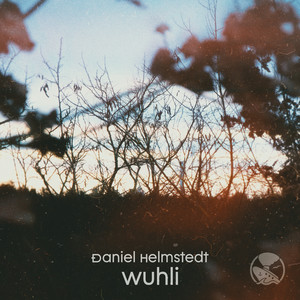 Wuhli (Plunk.ton Remix)