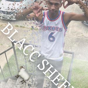 BLACC SHEEP (Explicit)