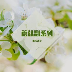 蘑菇翻系列