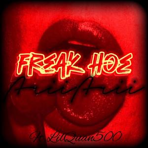 Freak Hoe (feat. Lilquan500) (Remix)