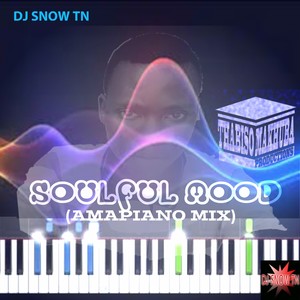 SOULFUL MOOD (Amapiano mix)